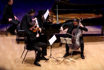 piano trio, a violinist, cellist and pianist